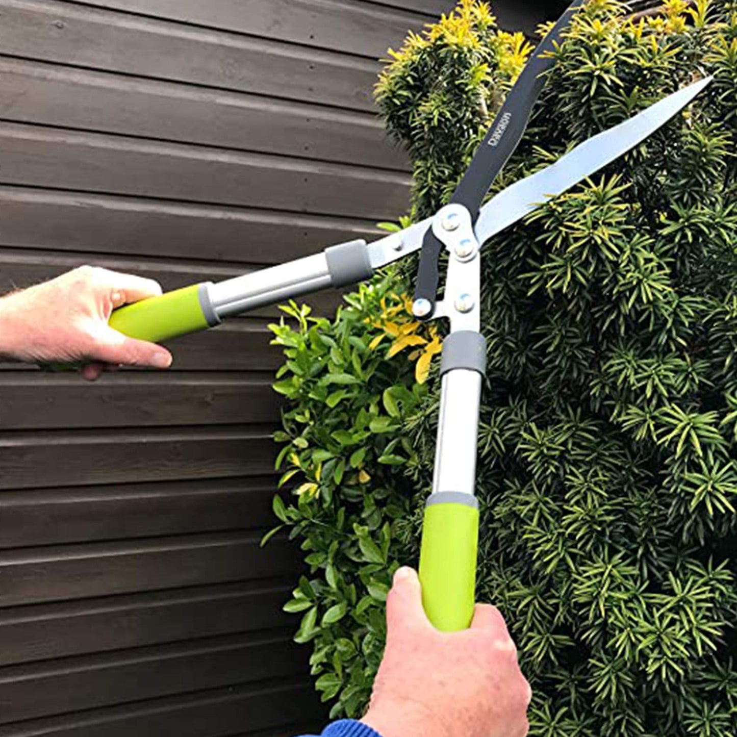 Classic Hedge Shears for Gardening - Classic Garden Shears with Handles, Anti-Slip Grip and Premium Rust-Resistant Steel, Best Gardening Tool for Hedges, Shrubs and Bushes, Davaon Pro