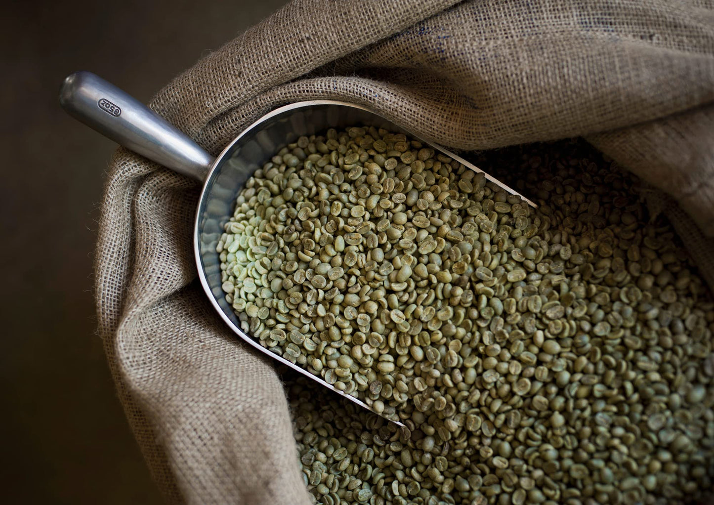 - Moreish Black Goat  | Dark Roast Ground Coffee -