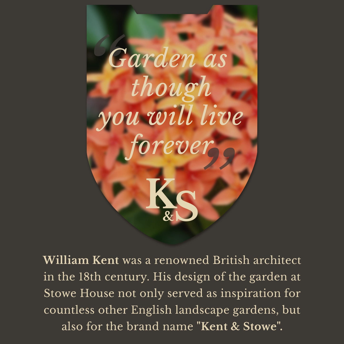 - Kent & Stowe Garden Life Stainless Steel Digging Spade | Light and Compact Traditionally -