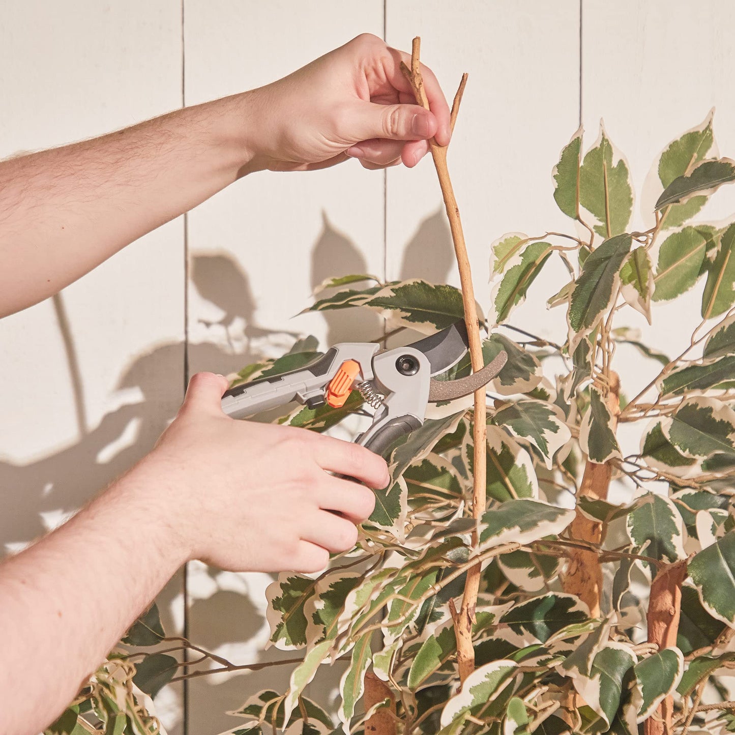 - VonHaus 3Pc Garden Shears Set – Tree Lopper, Hedge Shears, Garden Secateurs/Pruning Shears –