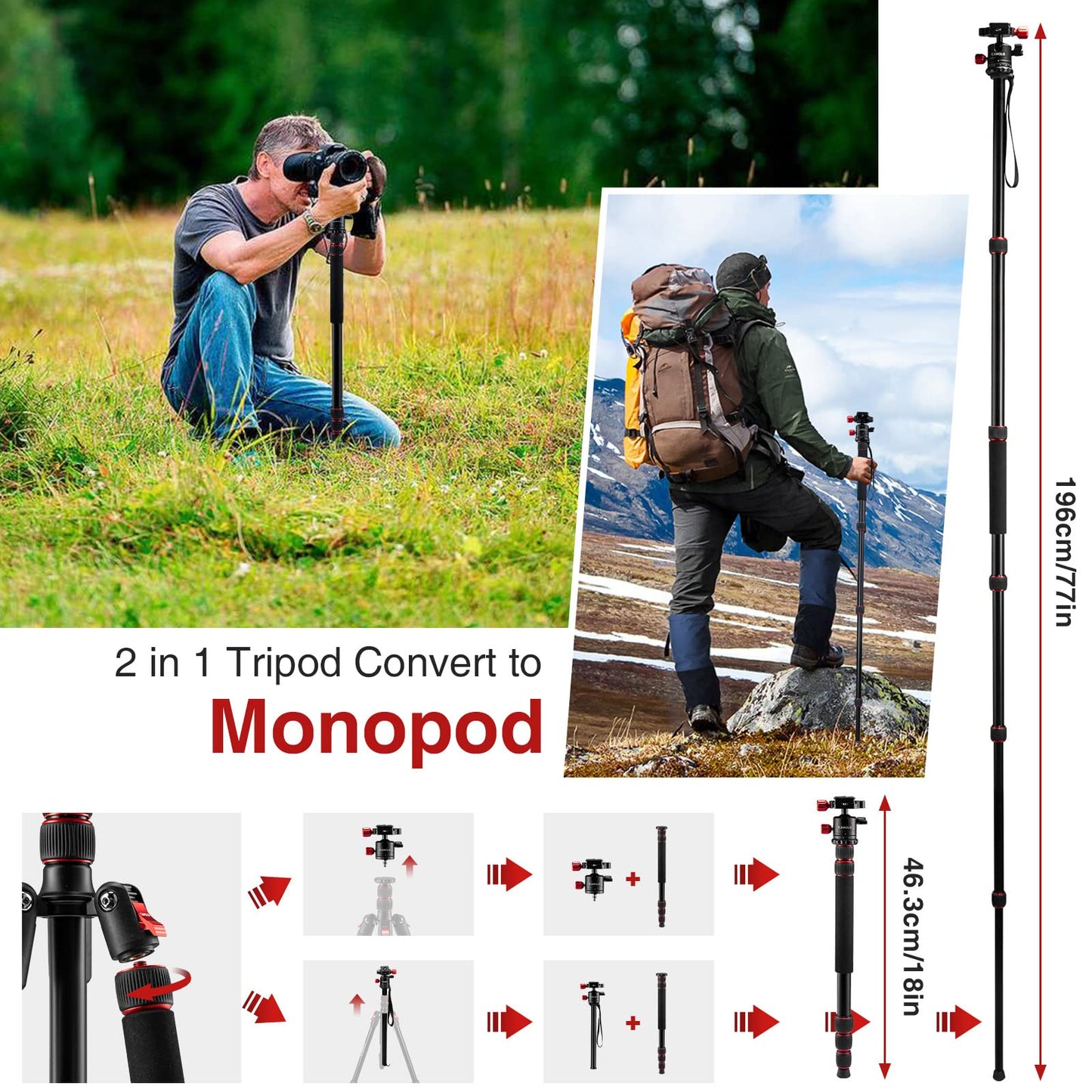 CAMOLO 75" Camera Tripod DSLR Tripod for Travel Aluminum Camera Tripod Monopod 360° Panorama Ball Head with Quick Release Plate Professional Tripod with Carry Bag Phone Mount w Cold Shoe 33 lbs Load