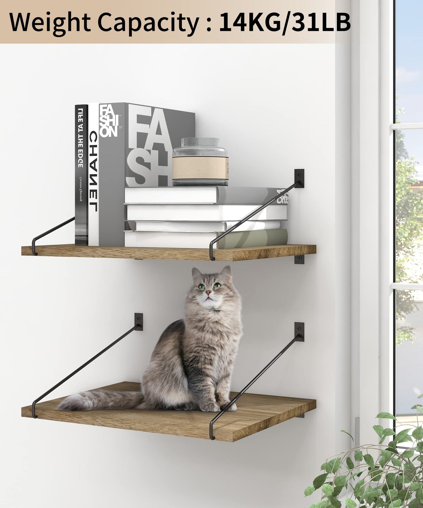 - Petrala Floating Shelves | Set of 2 Hanging Rustic Shelves -