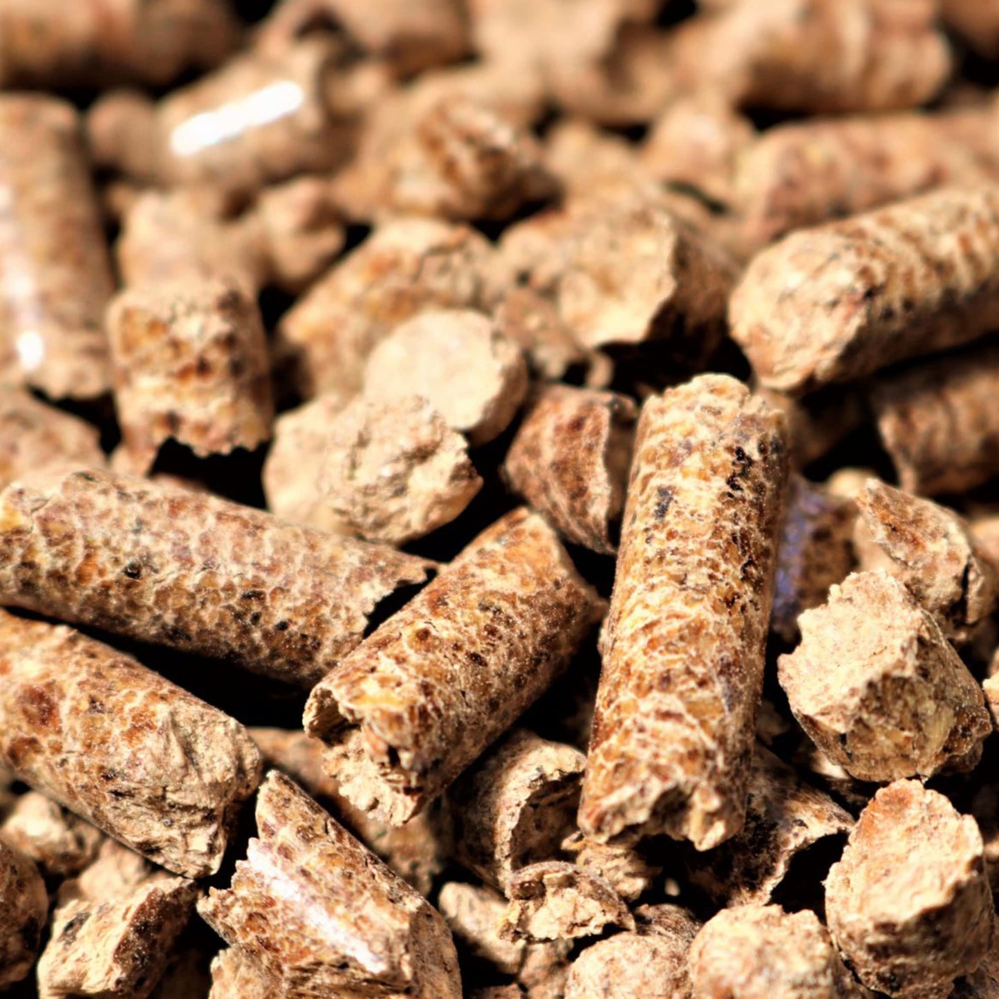 Bear Mountain Premium BBQ Woods 100 Percent All Natural Hardwood Hickory Pellets, Perfect for Pellet Smokers & Grills for Wood-Fired Flavor, 20 Lb Bag