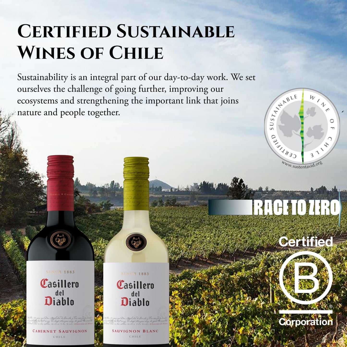 Casillero del Diablo Sauvignon Blanc White Wine | Chile, Fresh & Fruity (Case of 6 x 75cl)