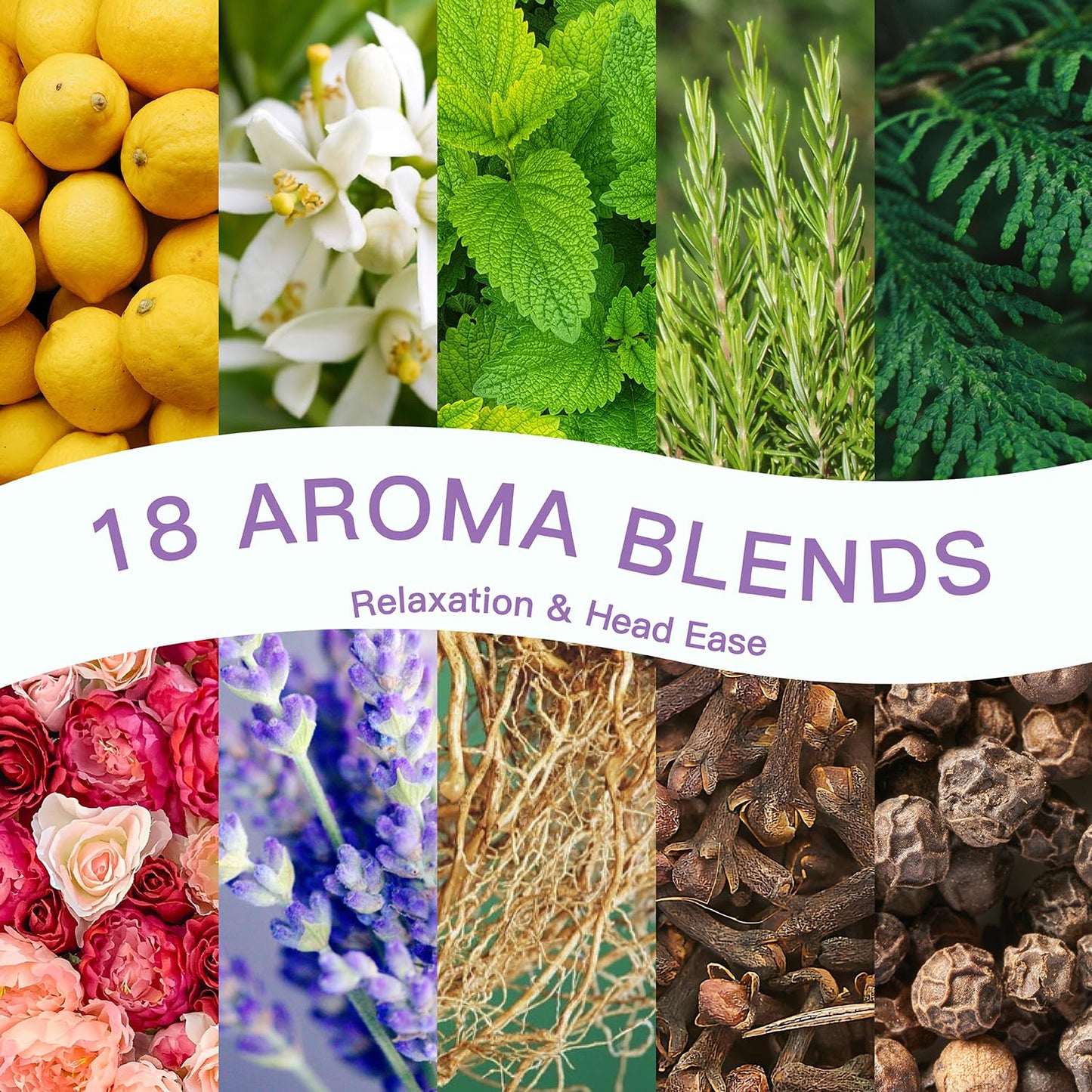 - SALUBRITO Essential Oil Roll On Set | 6x10ml Aromatherapy Oil Roller Ball with Lavender | Relaxation Gift for Women -