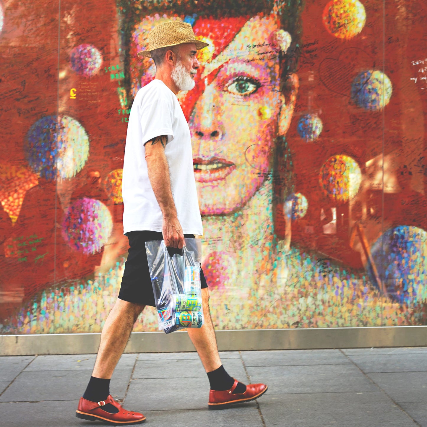 Brixton Brewery Reliance Pale Ale 12 x 330 ml Can