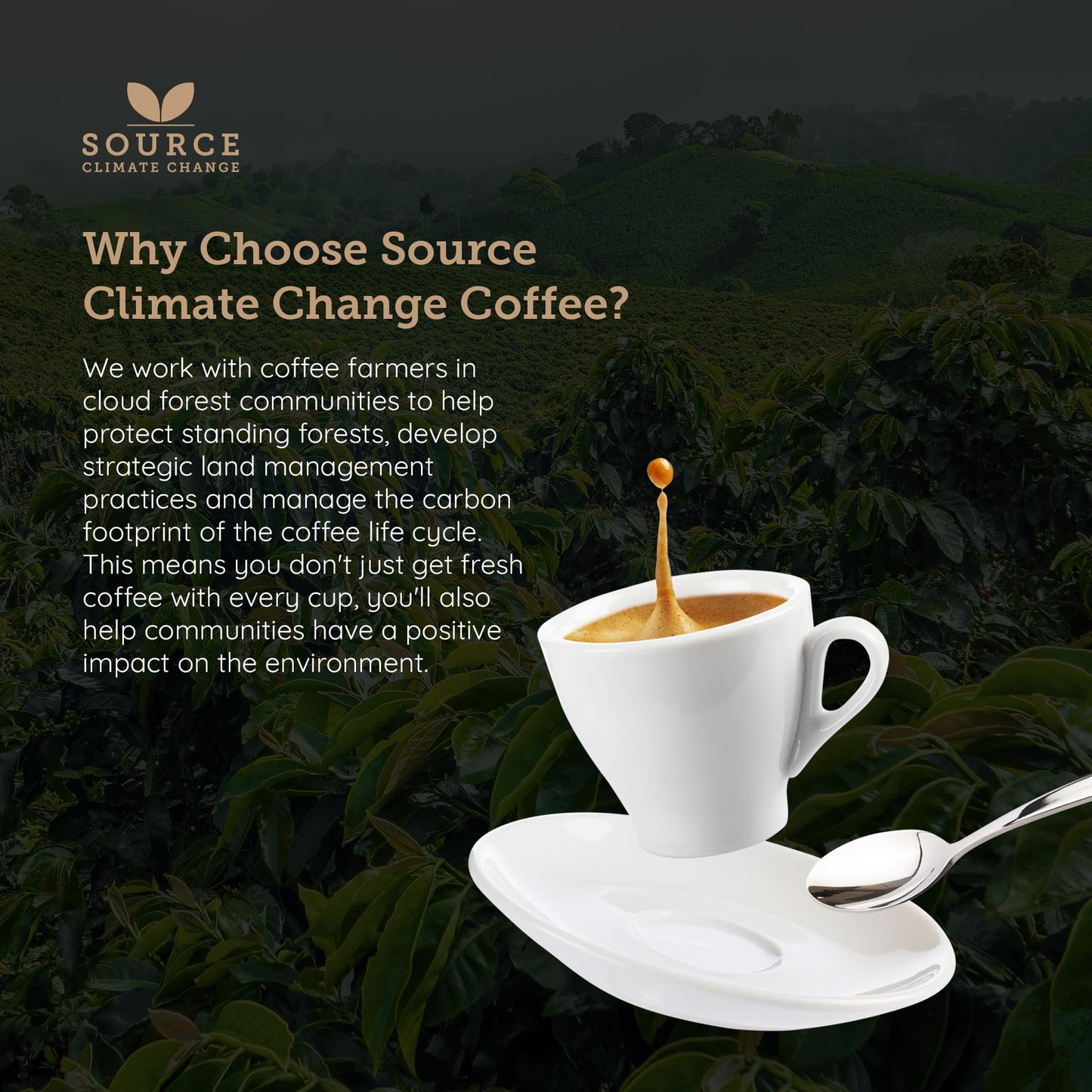 - Organic Ground Coffee | Single Origin | Award-Winning Medium & Dark Roast | Coffee Gift Set -