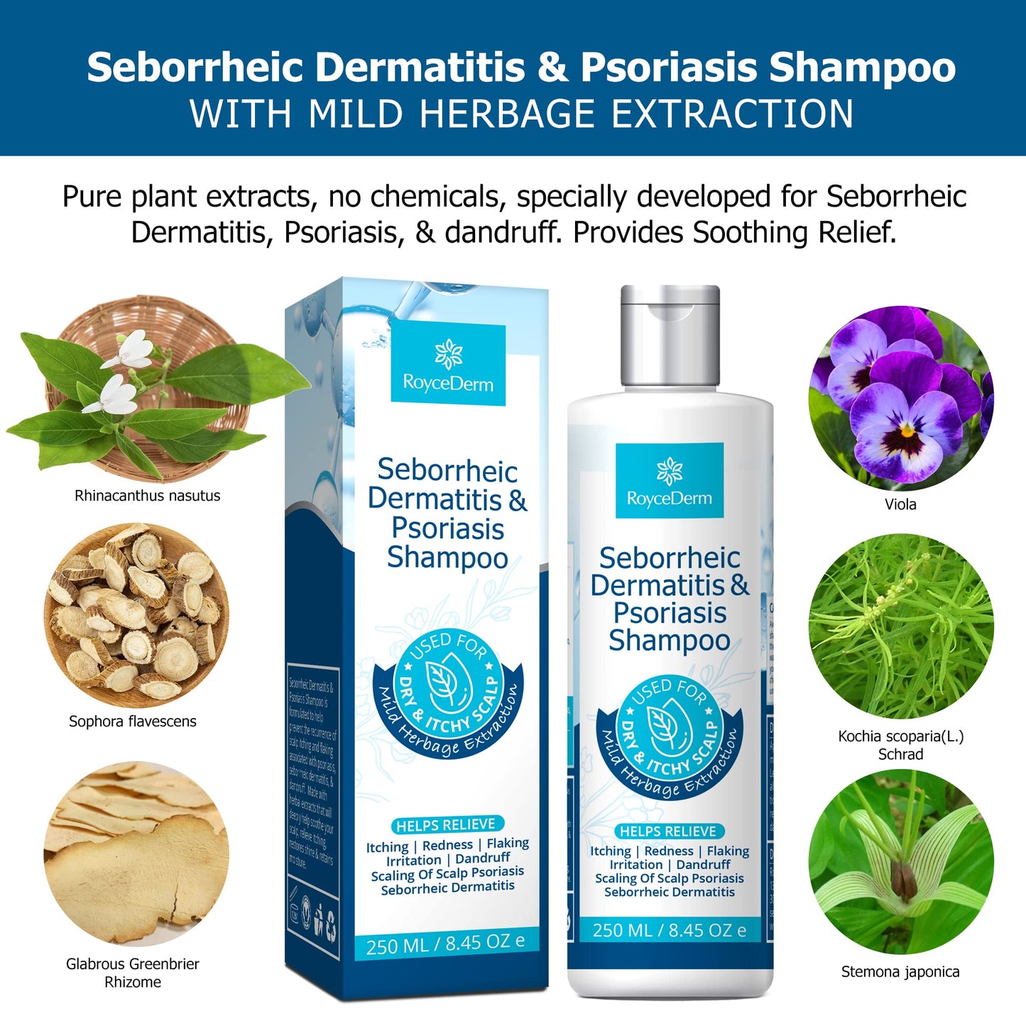 - Roycederm Seborrheic Dermatitis Shampoo | Psoriasis Shampoo | Dandruff Shampoo | Folliculitis Shampoo & Scalp psoriasis Treatment -