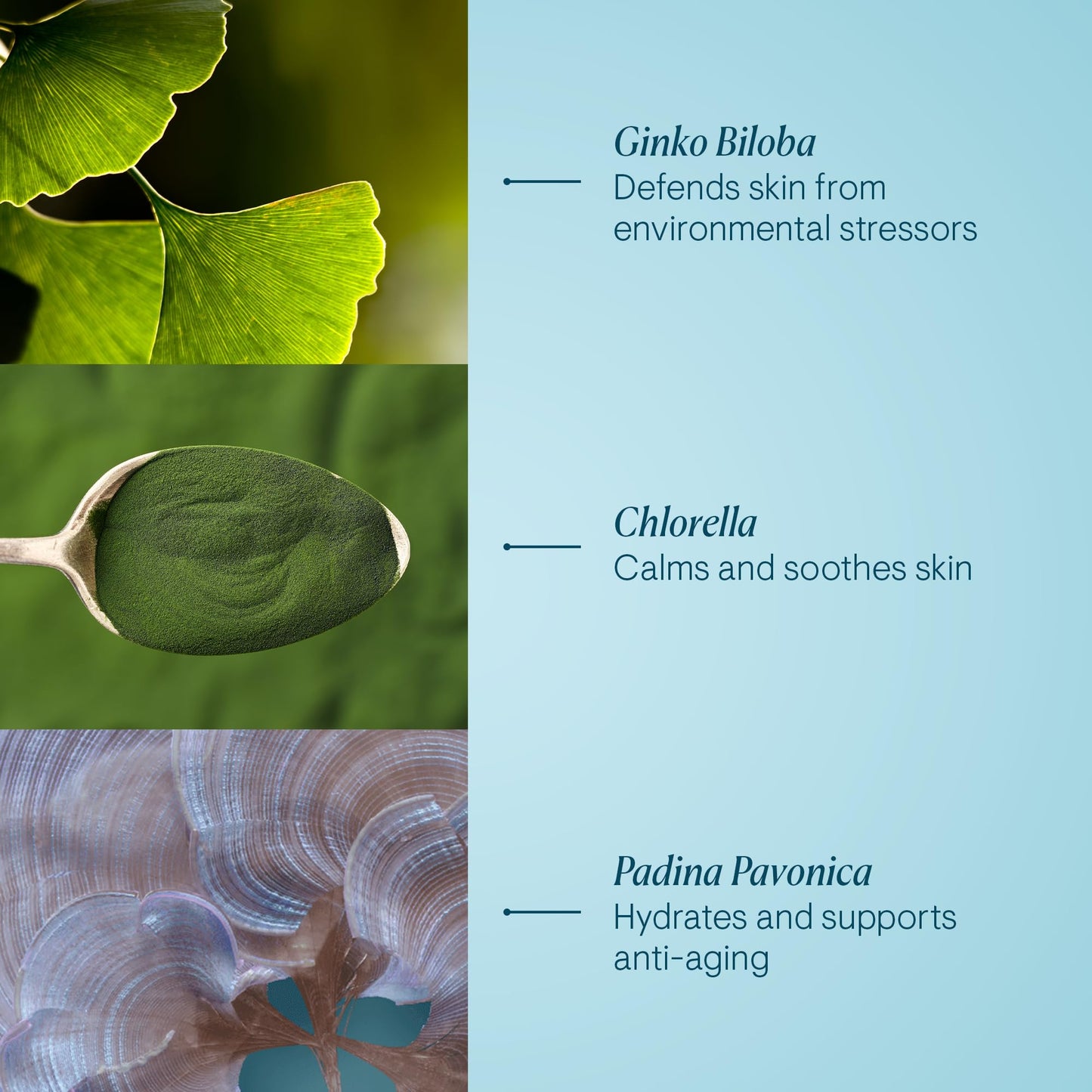 - ELEMIS Pro-Collagen SPF Marine Cream | Anti-Wrinkle Daily Face Lotion | Hydrating Ultra-Light SPF30 Gel-Cream Day Moisturiser -