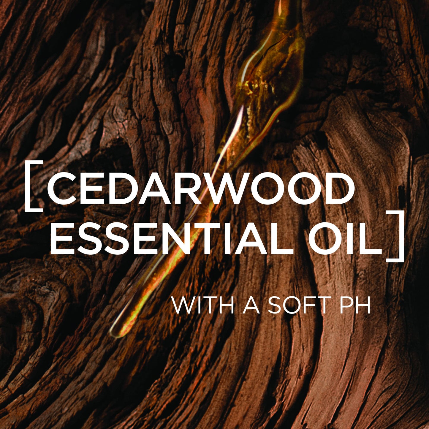 - L'Oreal Paris Men Expert Barber Club | Solid Shampoo And Wash Bar For Hair, Face, Beard And Body -