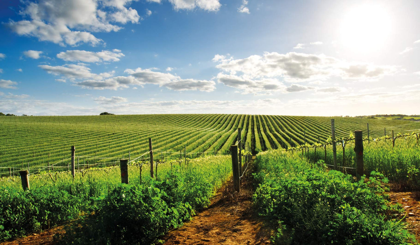 - Hardys Stamp Of Australia Cabernet Merlot Wine | 6 x 750ml -