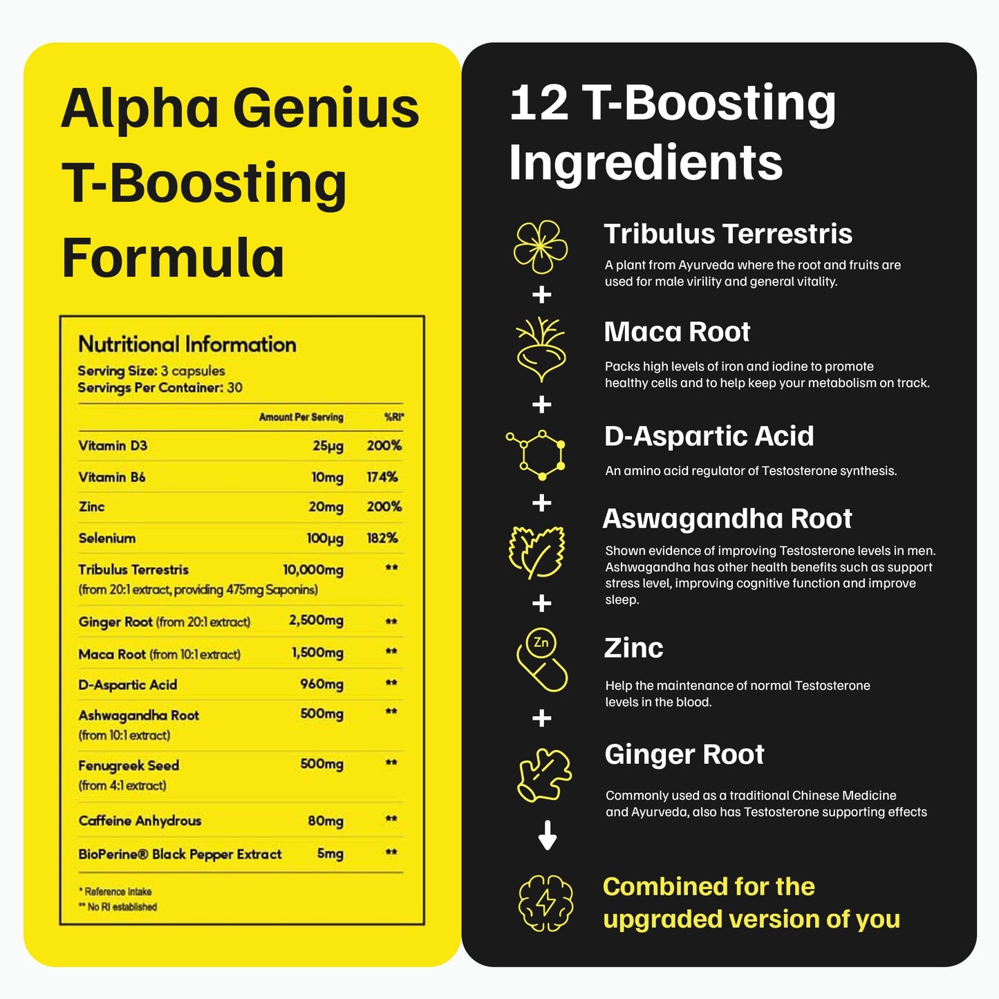 - JustFloow Alpha Genius® Testosterone Supplements | Improve Recovery | Energy Levels & Muscle Function -