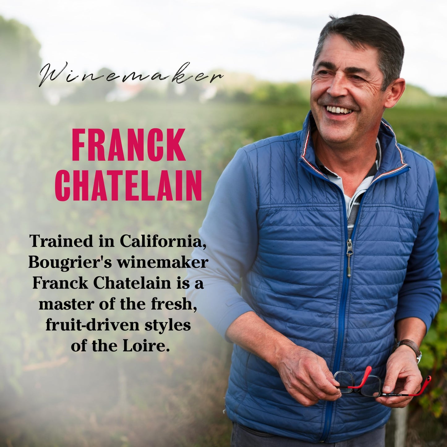 - Laithwaites Customer Favourites White Wine Selection | Case of 12 Mixed Bottles (75cl) -