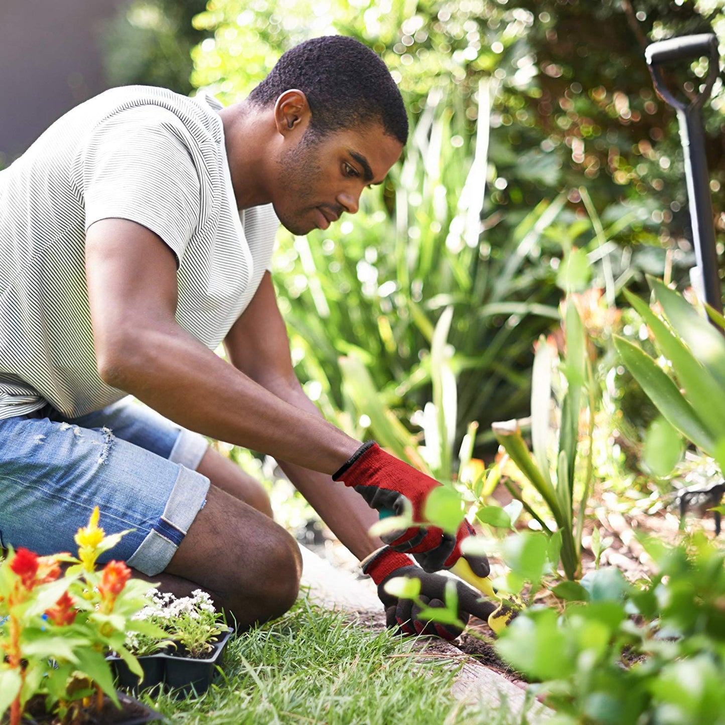- PROGANDA 3 Pairs | Colourful Superior Grip Gardening Work Gloves -