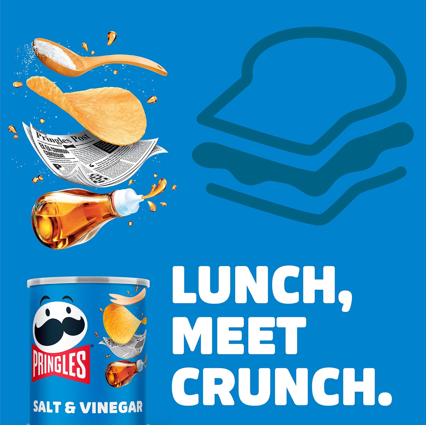 - Pringles Salt and Vinegar Flavour Potato Chips | 40g (Pack of 12) -