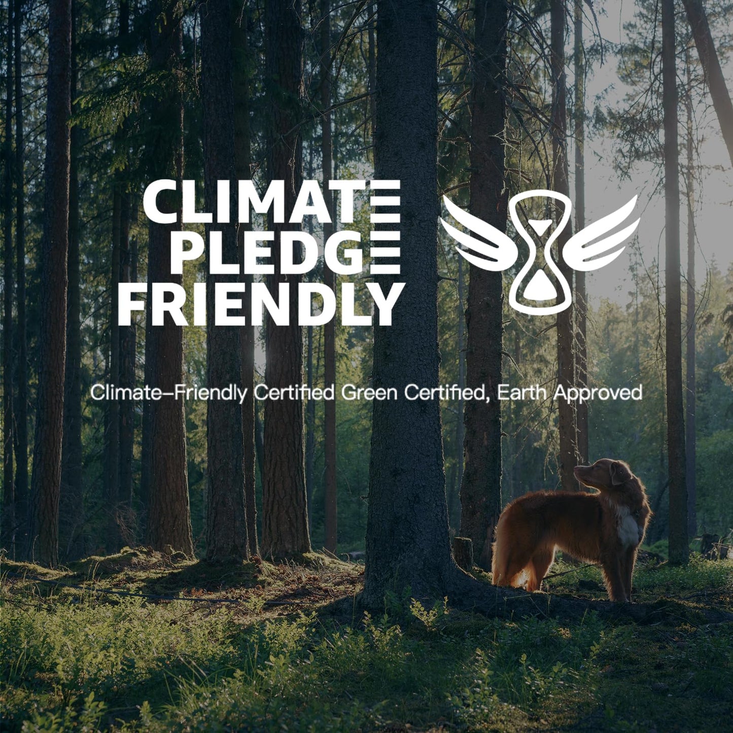 - PERLESMITH TV Wall Bracket | TV Bracket for 37-85 Inch TVs | Max 60kg | TV Wall Bracket -