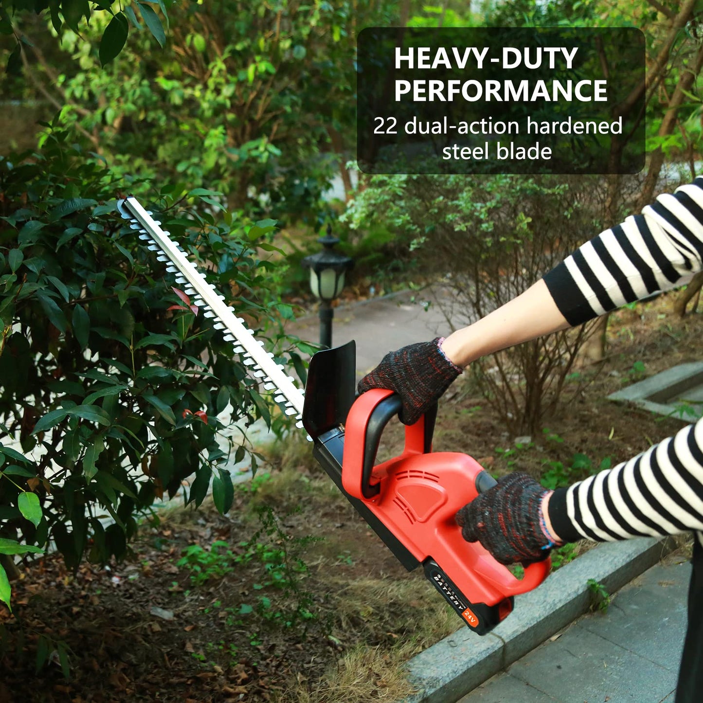 - Shienfir Cordless Hedge Trimmer | 21V Electric Hedge Trimmer | 15mm Tooth Spacing | 800W | Electric Cordless Hedge Trimmer -