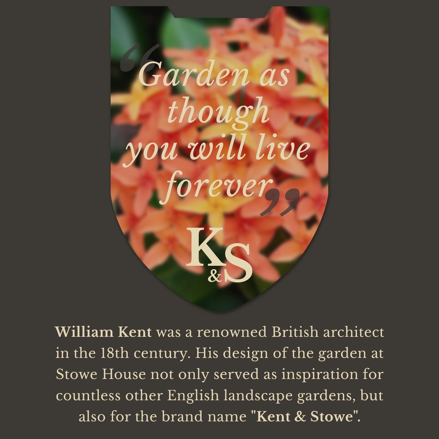 - Kent & Stowe Stainless Steel Perennial Spade | Pointed Head Garden Spade -