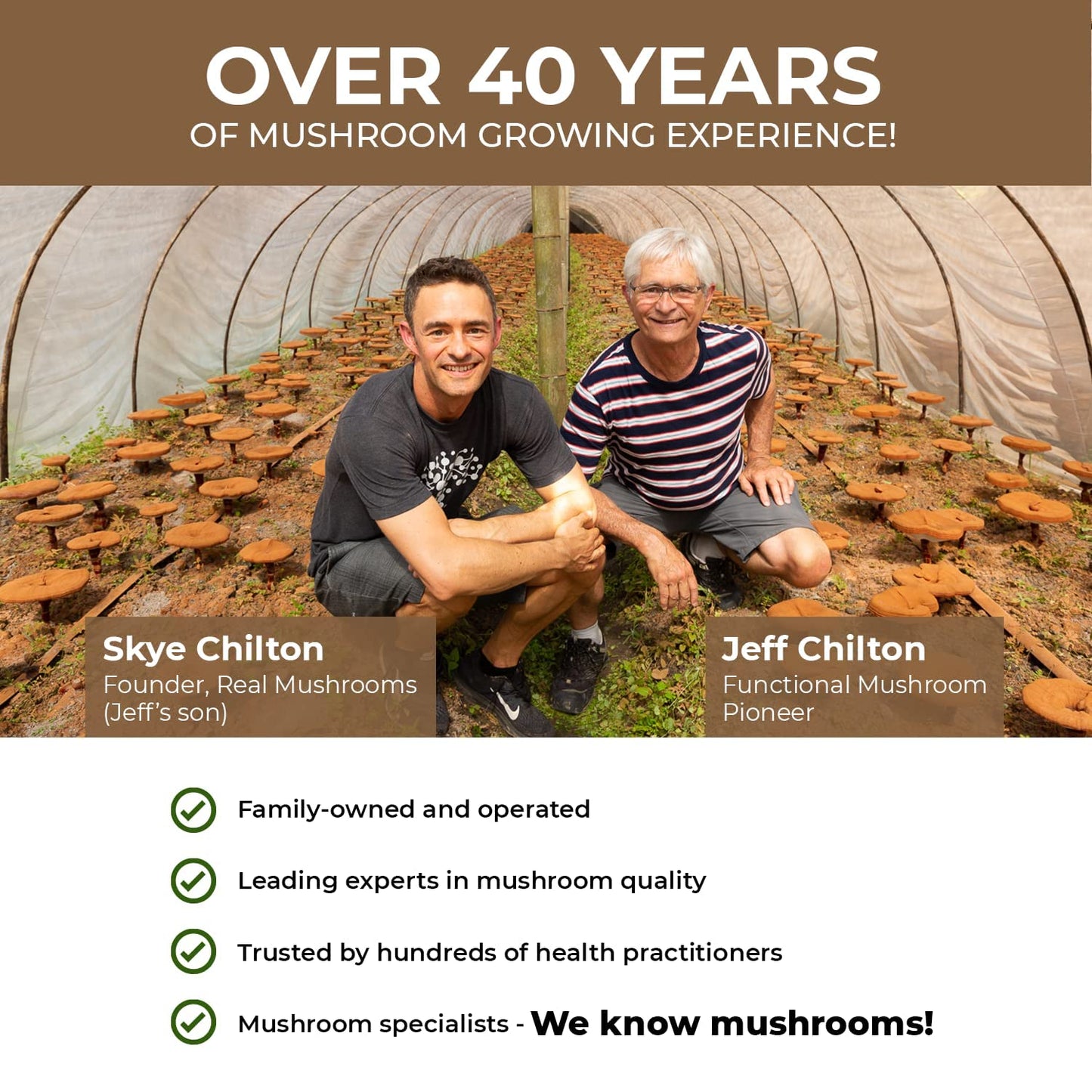 - Lions Mane Brain and Focus Supplements | Mushroom Powder Extract Capsules | Non GMO and Gluten Free Supplement -