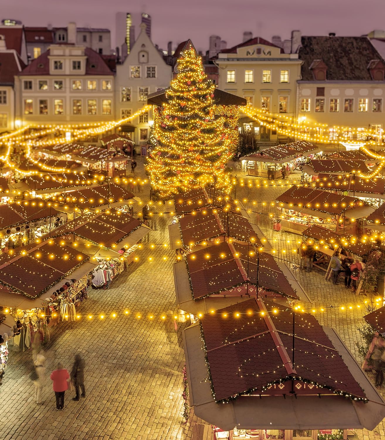 - Festoon Outdoor Lights Mains Powered | 65.5FT 20M G40 Garden Outside Festoon Lights -