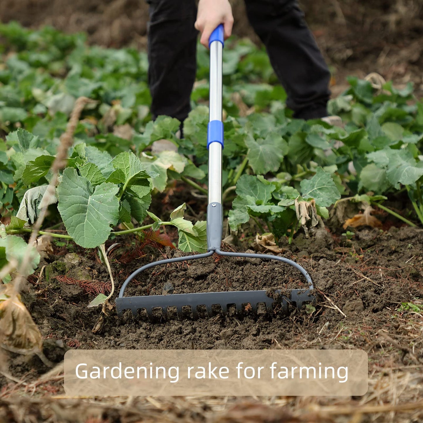 - MIYA Garden Rakes | Long 152CM Handle | Heavy Duty 14 Tines Rake -