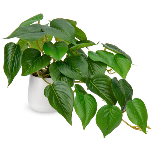- Hollyone Artificial Plant | Fake Jade Pothos | Decorative Faux Potted Plant -