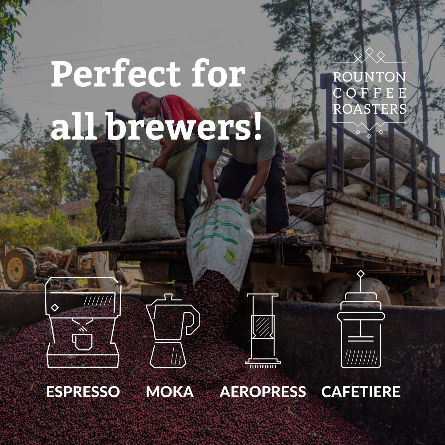 - Rounton Coffee Roasters | Daybreak Blend 1kg Coffee Beans | Great Taste Award Winning Coffee 2023 | Roasted in Yorkshire -