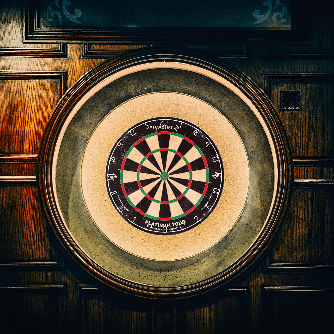 - PINPOINT World Series Professional Dartboard | Bristle Dart Board -