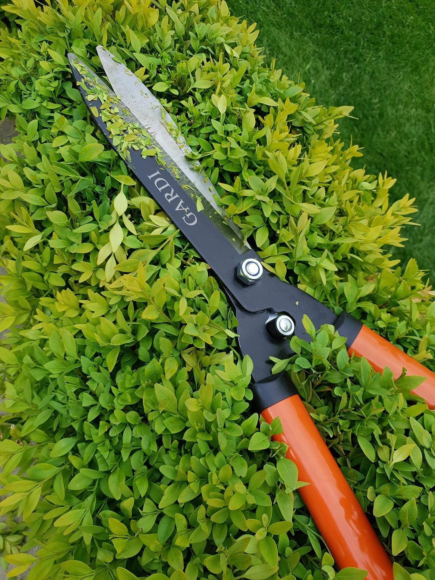 - Gardi Orange Serrated Garden Hedge Comfort Grip Shears -