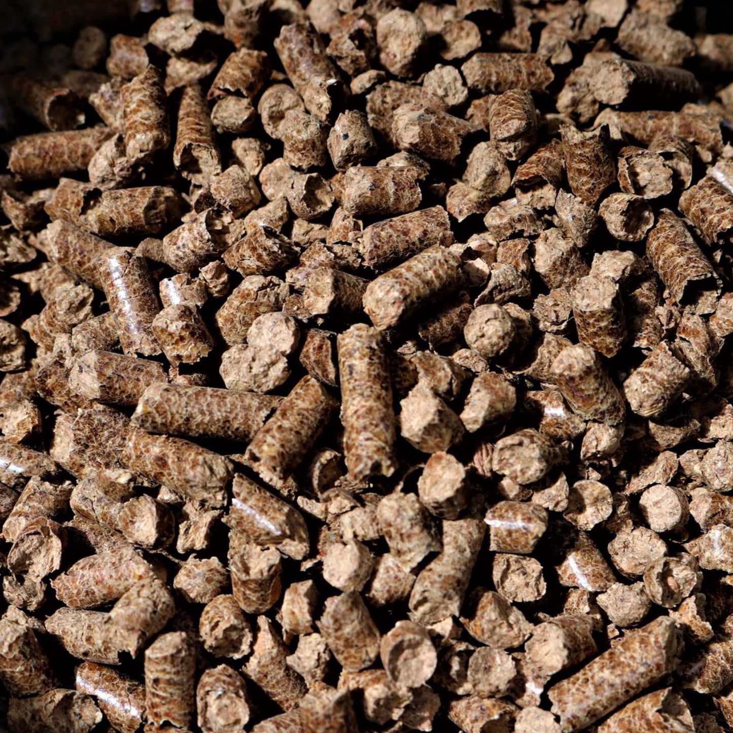 Bear Mountain Premium BBQ Woods 100 Percent All Natural Hardwood Hickory Pellets, Perfect for Pellet Smokers & Grills for Wood-Fired Flavor, 20 Lb Bag