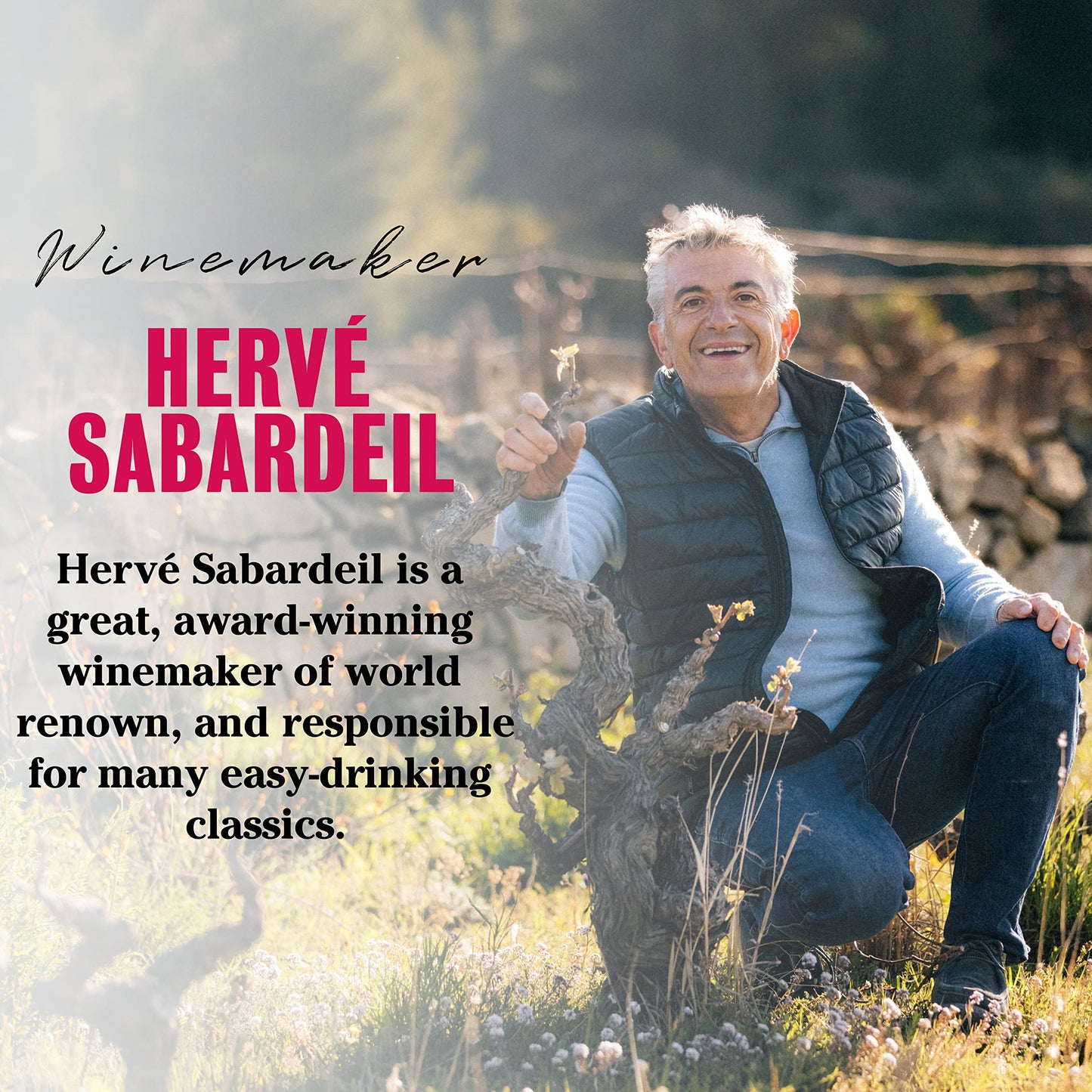 - Laithwaites Customer Favourites Red Wine | Case of 12 Mixed Bottles (75cl) -