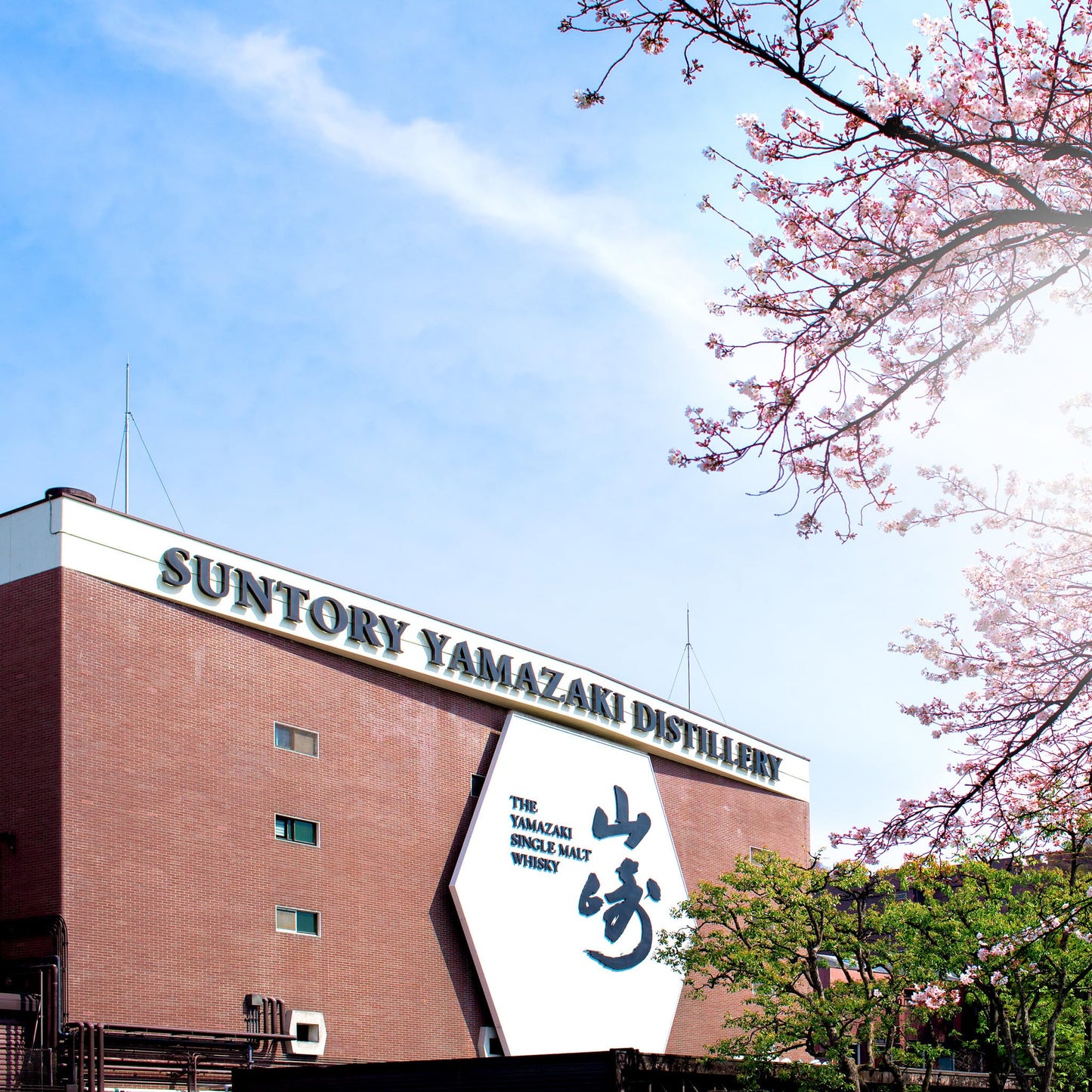 -Yamazaki Distillers Reserve Japanese Single MaltWhisky - Cherry, Raspberry and White Peach