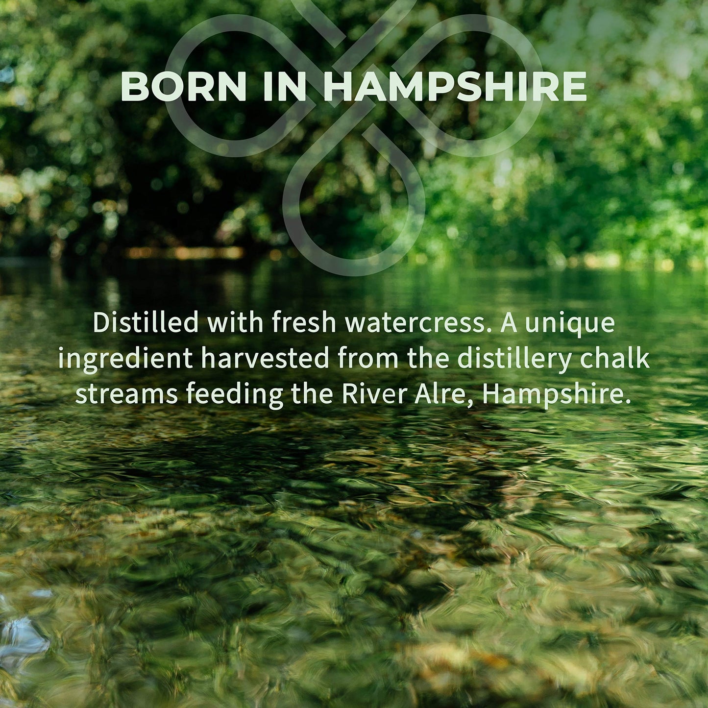 - Twisted Nose Premium Dry Gin | World Gin Award Winner | 70cl Gin Bottle -