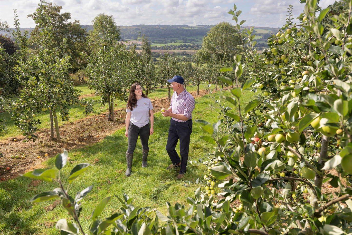 - Hobsons Oldfields Premium English Mixed Cider Selection Pack - Case of 12 x 500ml Bottles -