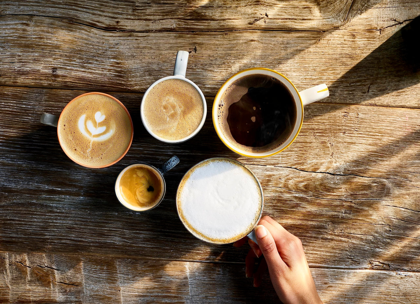 - Taylors of Harrogate | Rich Italian Coffee Beans -