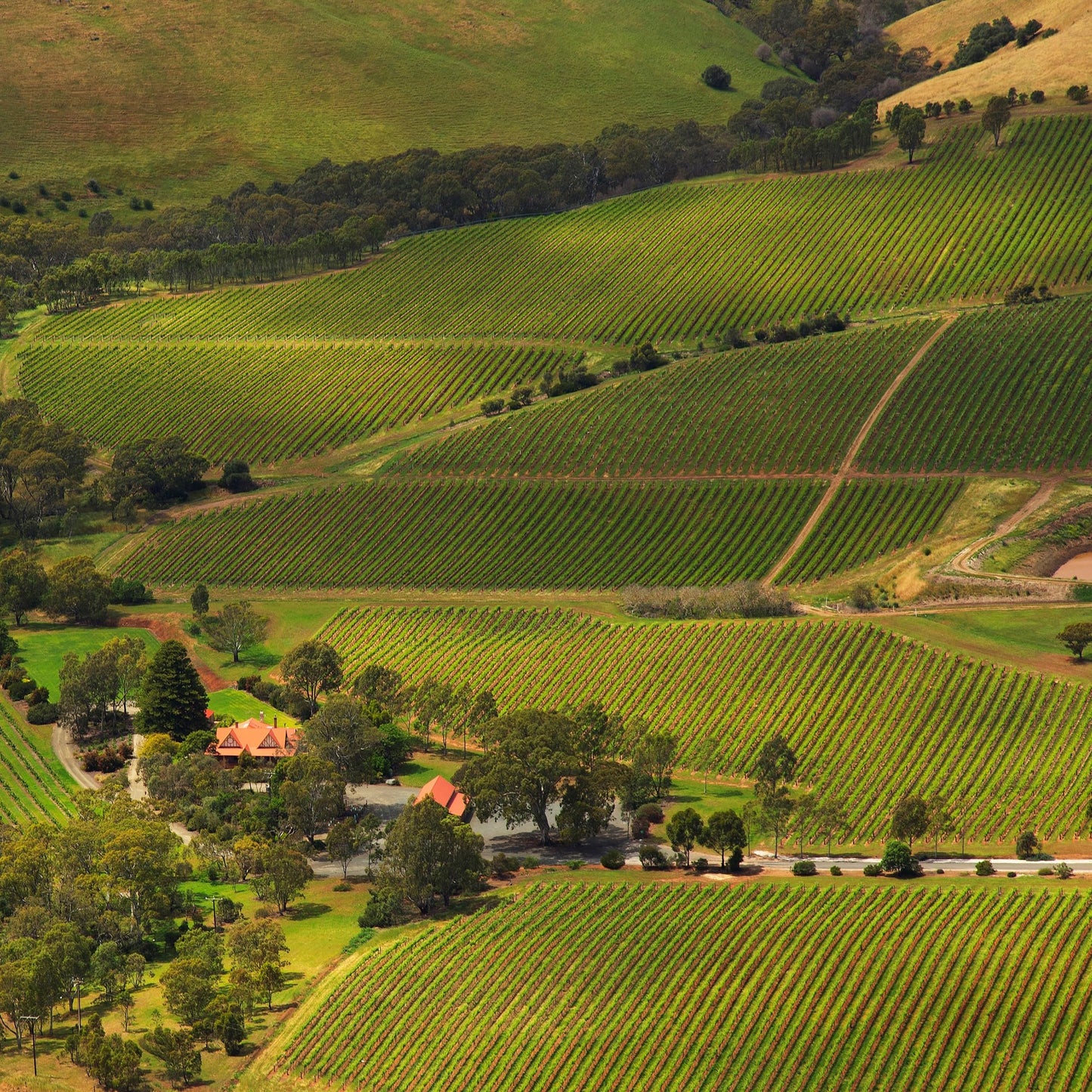 - Jacob's Creek Double Barrel Matured Shiraz Red Wine | 75 cl -