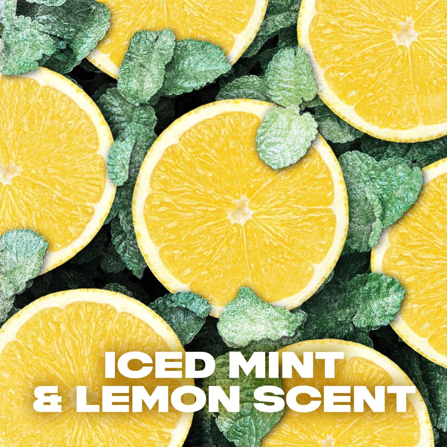 - Lynx Ice Chill Aerosol Bodyspray | 48 hours of odour-busting | 6x 150 ml -