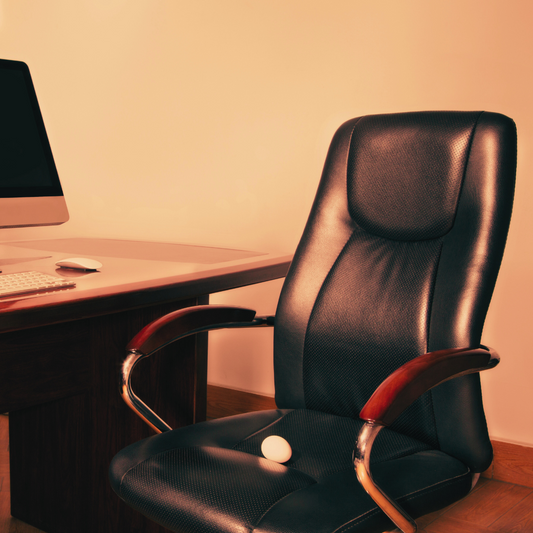 Office Chairs : The Top 5