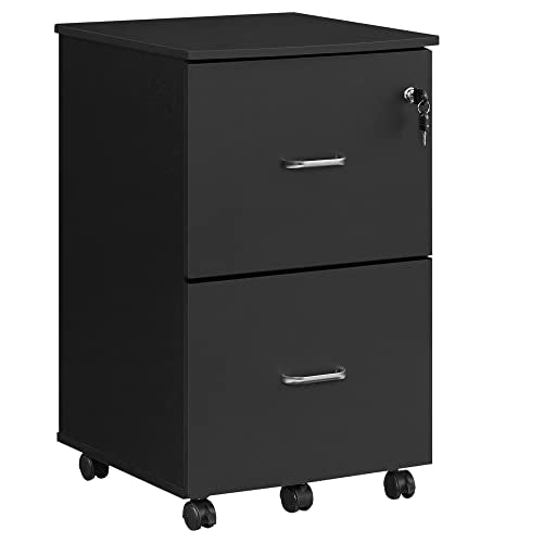 - VASAGLE Filing Cabinet with 2 Drawers -