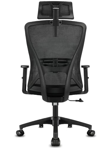 - Durrafy Office Chair Ergonomic | Office Desk Chair with Adjustable Headrest, Armrests, Lumbar Support -