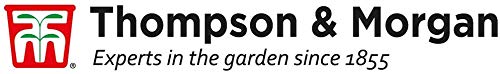 Air Purifying Plant Collection 3 Indoor House Plants Snake Plant, Peace Lily, Spider Plant, Perfect for Cleaning Air at Home in Office, 3X 12cm Pots One of Each by Thompson and Morgan (3)