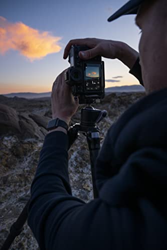 - Nikon Z8 Digital Mirrorless Camera Body -