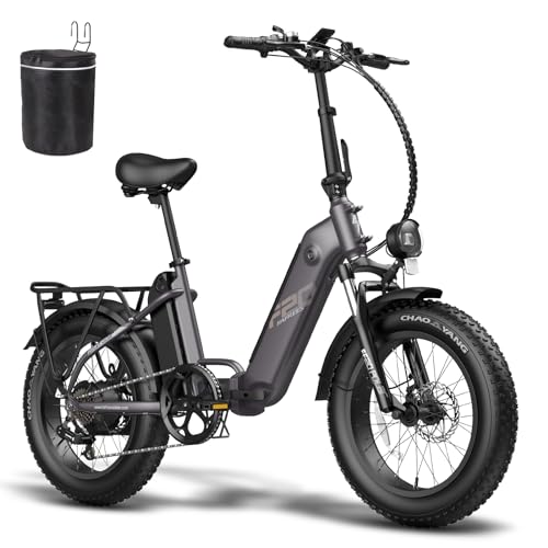 - Fafrees FF20 Polar Fatbike E Bike Men's 20 Inch 48V 10.4Ah*2 Batteries UK Plug -