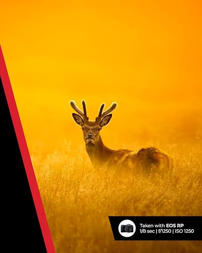 Canon RF 100-400mm F5.6-8 IS USM Lens - Telephoto Zoom Lens | 5.5-stop Optical Image Stabilizer | Sports and Wildlife Photography | Canon EOS R Series Compatible