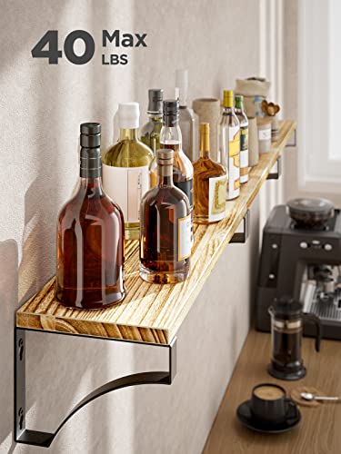 - Pipishell Floating Shelves Wall Mounted Shelf | Paulownia Wood Wall Shelves | Wooden Shelves Set of 3 -