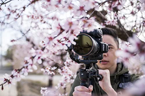 - Nikon Z8 Digital Mirrorless Camera Body -