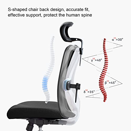 - SIHOO M18 Ergonomic Office Chair | Computer Desk Chair | Adjustable Headrest -