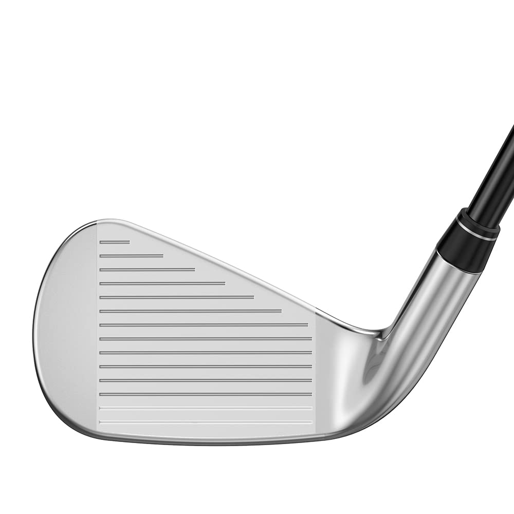 Callaway Golf Great Big Bertha Iron Set (Right Hand,Regular Flex,4-PW)