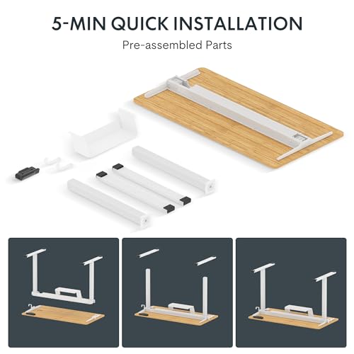 - FLEXISPOT Electric Height Adjustable Standing Desk | 120 * 60cm | Sit Stand Desk Adjustable Desk -