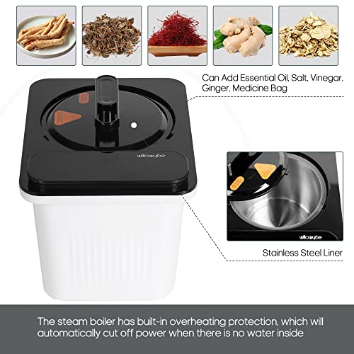 - WILLOWYBE Portable Steam Sauna with Bluetooth Control, 4L KingPower Steamer, Home Spar
